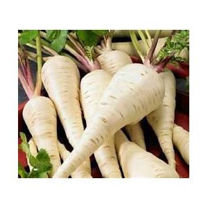 parsnip-piana-vegetable