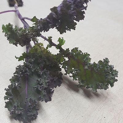 purple-frill-kale-veg