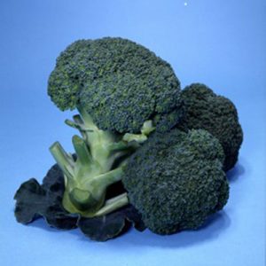 Royal-Blue-Broccoli