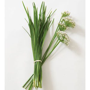 chinese_leeks_chive_herb