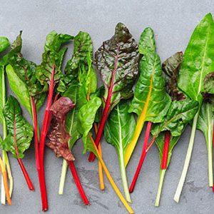 Produce_baby-rainbow-chard