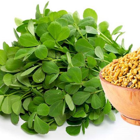 Fenugreek-Herb