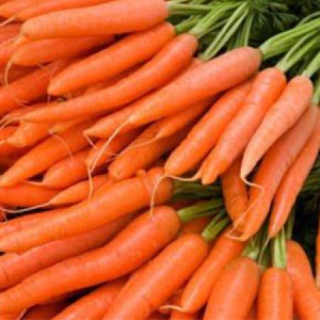 marcus-carrot